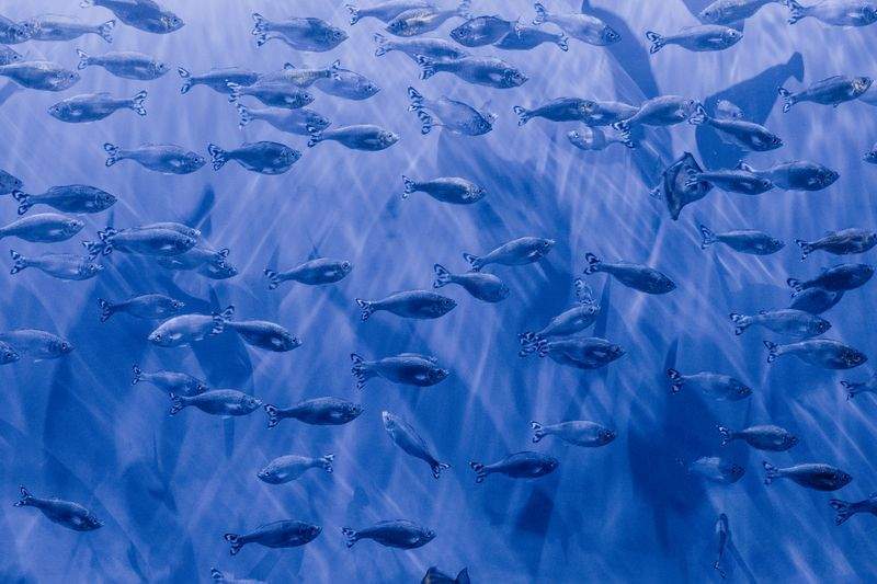 未来学園 - Image 3